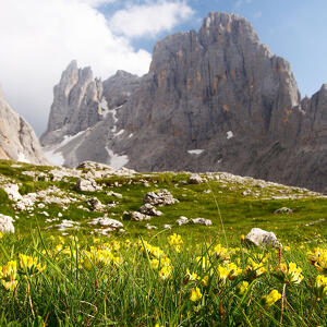 Quale futuro per le malghe?