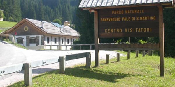 Breve escursione nella "Foresta dei Violini"