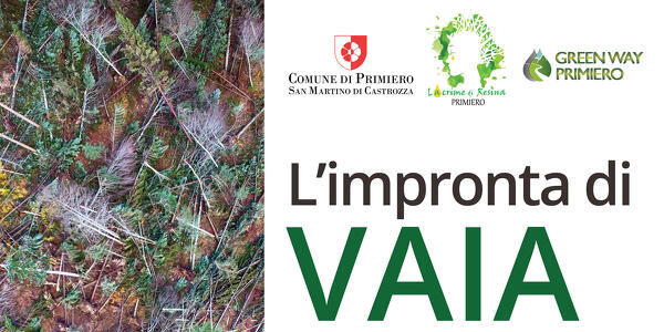 Conferenza "L'impronta di Vaia"