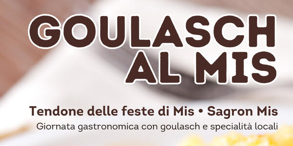 Goulasch al Mis