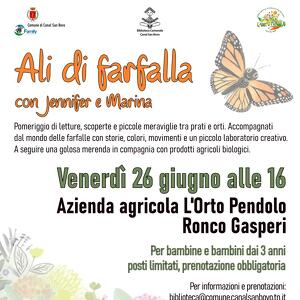 Ali di farfalla