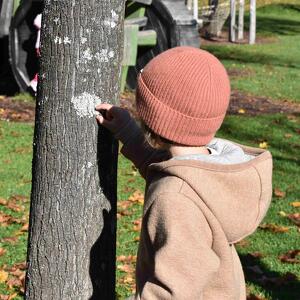 Il Parco in Famiglia