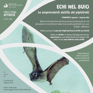 ECHI NEL BUIO. Le sorprendenti abilità dei pipistrelli