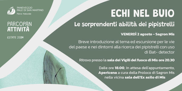 ECHI NEL BUIO. Le sorprendenti abilità dei pipistrelli