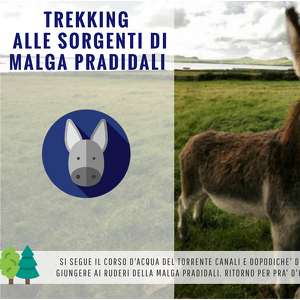 Trekking alle sorgenti di Malga Pradidali