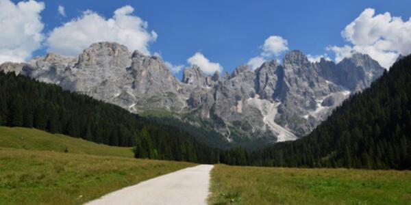 Val Venegia e la grande estinzione biologica di massa 