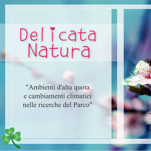 Presentazione della mostra "Delicata Natura"