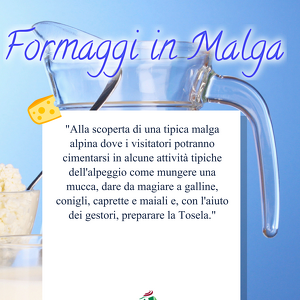 Formaggi in Malga