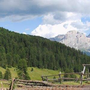 Vivere la malga