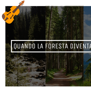 Quando la foresta diventa musica