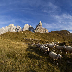 **IMMAGINI**  rassegna dal libro *Il Re delle Dolomiti*  di Alessandro Simon “Tinol” 