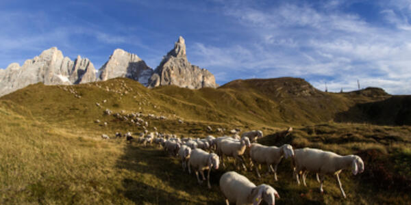 **IMMAGINI**  rassegna dal libro *Il Re delle Dolomiti*  di Alessandro Simon “Tinol” 