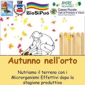 Autunno nell'orto