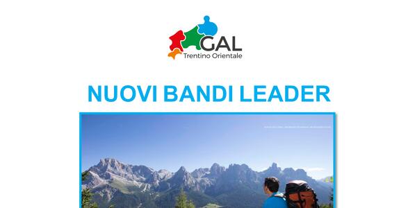 Nuovi bandi leader