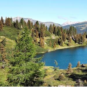 Suoni e colori della natura che si sveglia